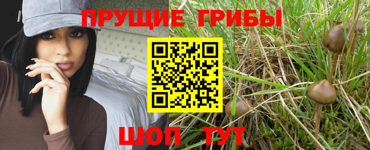 Псилоцибиновые грибы мухоморы Кимовск
