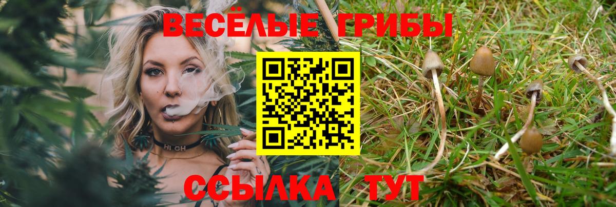 Галлюциногенные грибы мицелий  Вход с VPN  Кимовск 